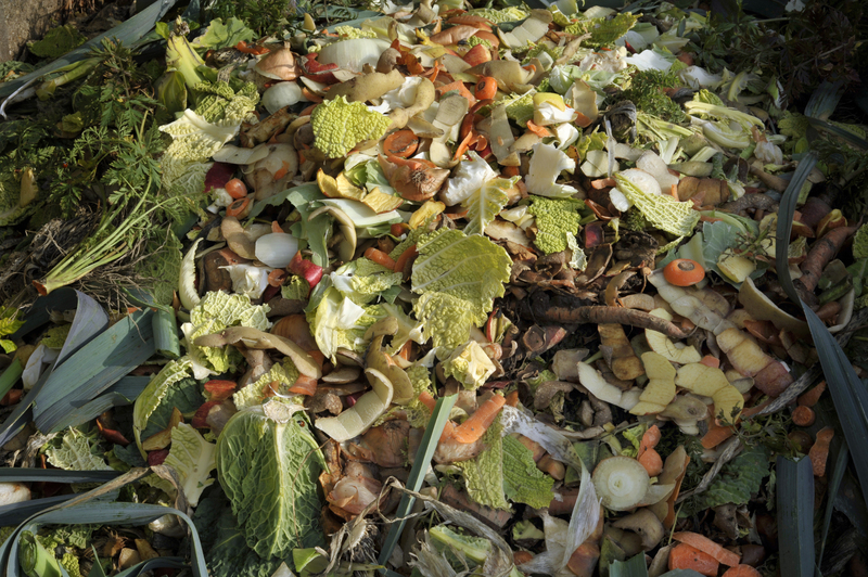 Rubbish removal home