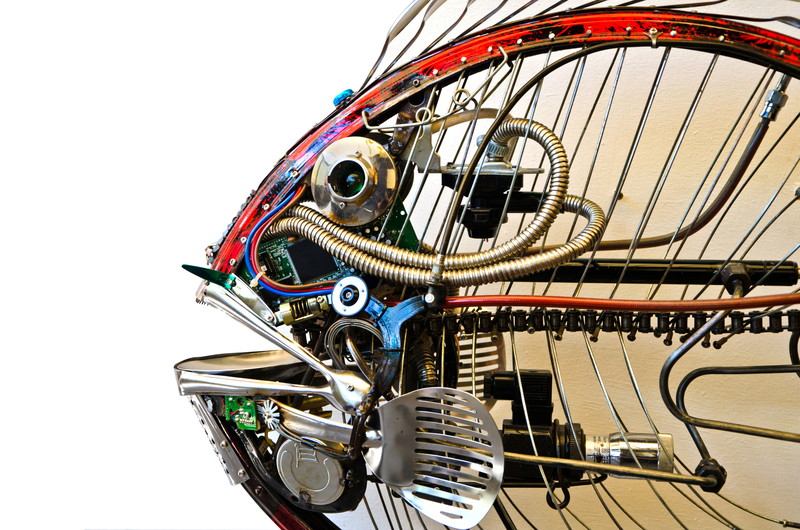 rubbish removal waste clearance