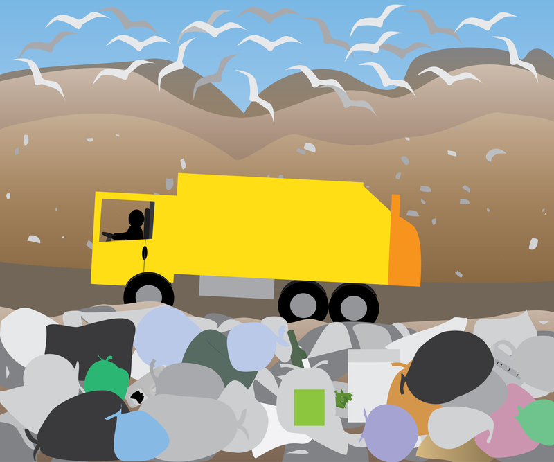 Homeowner and waste removal worker reviewing an itemised quote and photos on a tablet