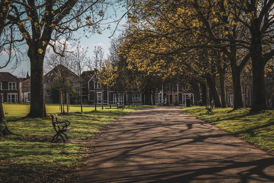 A wide, paved pathway curves through a park area bordered by large deciduous trees with yellowing leaves, indicating autumn season. The trees cast long, intricate shadows on the ground, creating a dappled pattern across the pathway. To the left and right of the path are well-maintained grassy lawns with some scattered wooden benches featuring cast-iron armrests and legs, positioned to face the pathway and park scenery. In the background, beyond the trees, there are residential buildings with brick facades, pitched roofs, and large windows visible beneath a partly cloudy sky. The scene is illuminated by natural daylight, highlighting the textures of the bark, leaves, and grass. This setting could relate to private on-site clearance or rubbish removal within a community park, supported by professional waste management providers like House Clearance Dulwich, especially in the context of maintaining clean outdoor spaces for public use or private property management.